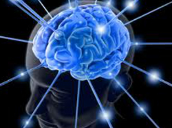 Нейробиологи из Университета штата Калифорния в Ирвайне (UC Irvine) впервые исследовали головной мозг людей, обладающих выдающейся автобиографической памятью, и нашли, в чем его отличие от мозга людей с семантическим типом памяти.