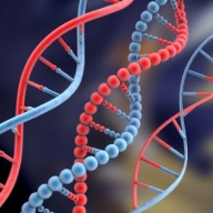 Рак могут вызывать нетипичные "удвоенные" молекулы ДНК