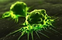Обнаружены физические отличия раковых клеток от здоровых
